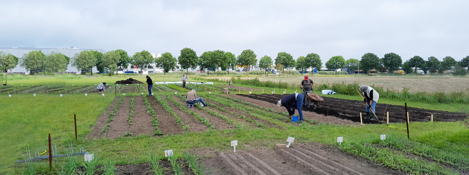 Eemvallei-Oase-randakker-werk