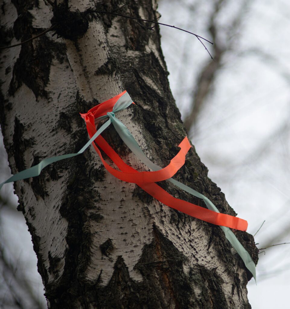 climate ribbon ritueel