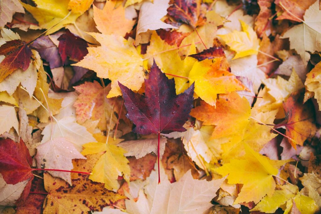 herfst equinox