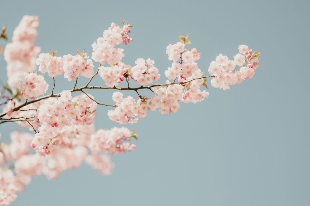 Lente equinox